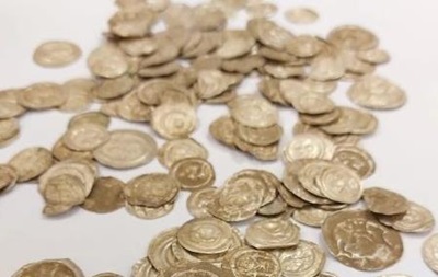 У Польщі собака вирив середньовічні монети