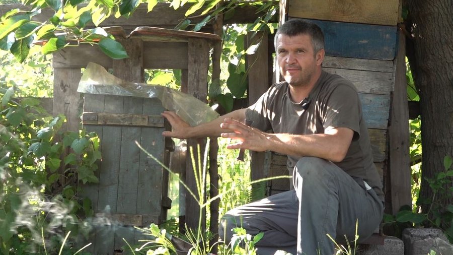 Боєць ЗСУ Олександр Афанасьєв на передовій врятував бджолиний рій та обладнав пасіку