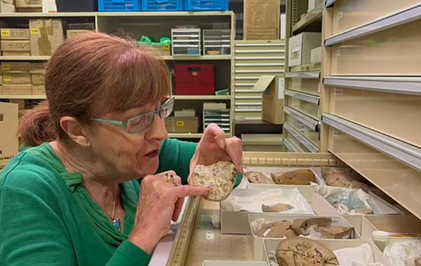 Вчені знайшли скам янілість риби, віком 380 млн років